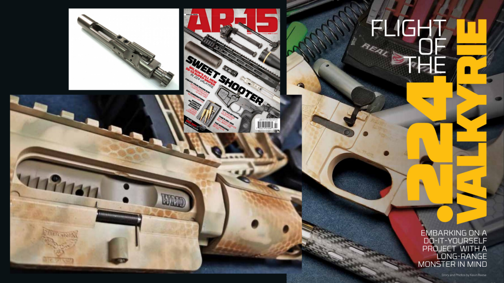 NiB-X featured in World of Firepower AR-15